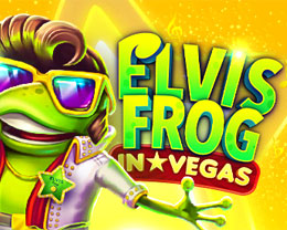 Elvis Frog in Vegas