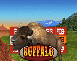 Buffalo